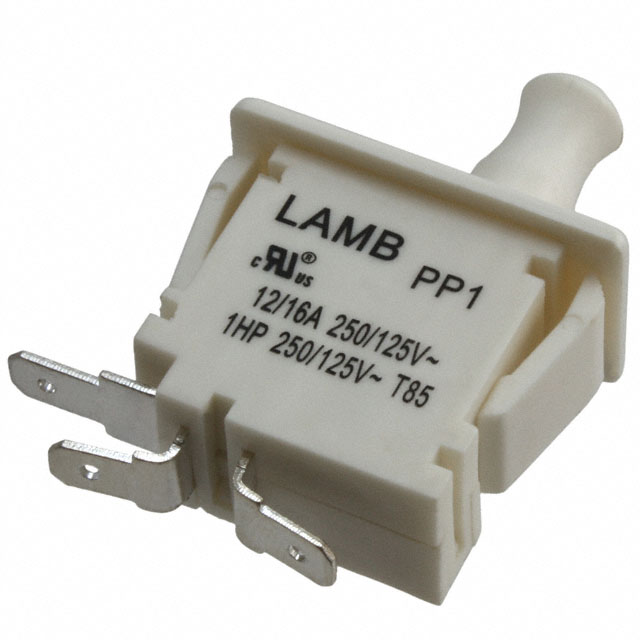 PP1-DT7-2B2 E-Switch