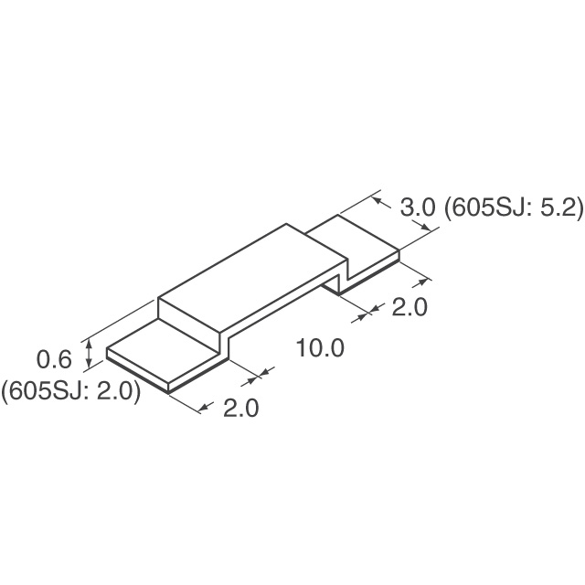 602SJR00300E-T Ohmite