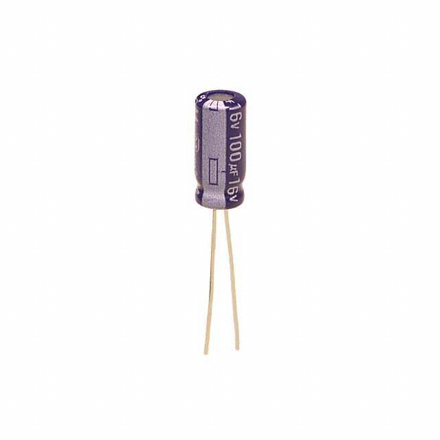 ECA-1CM101B Panasonic Electronic Components