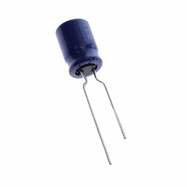 ECE-A1EN101UB Panasonic Electronic Components