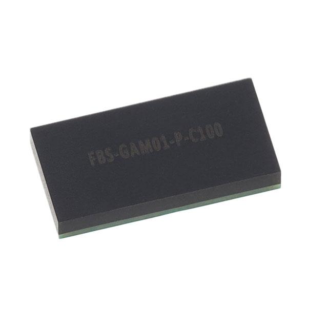 FBS-GAM01-P-C100 EPC Space, LLC