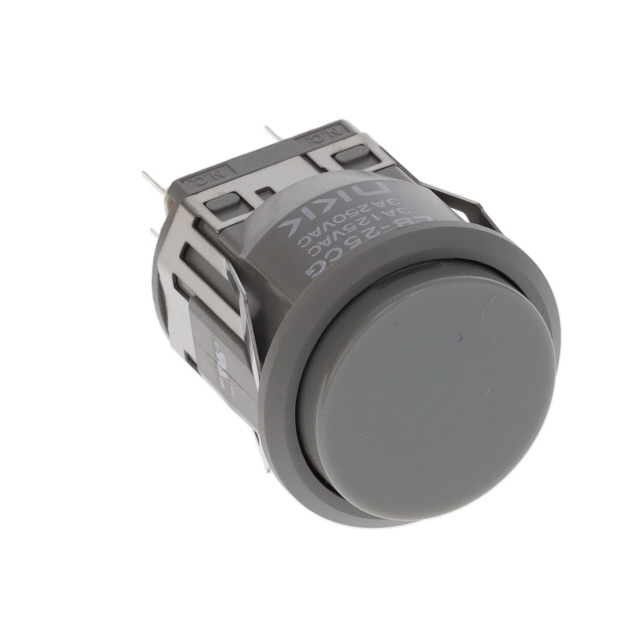 LB25CGW01-H NKK Switches