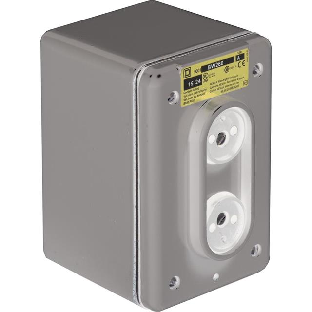 9001BW260 Schneider Electric