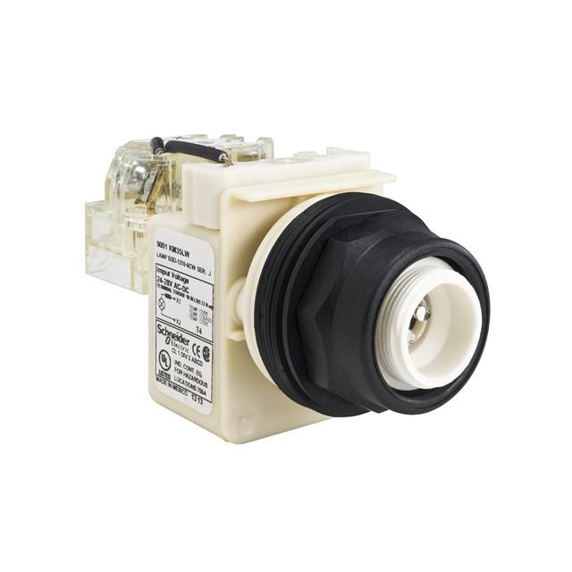 9001SKT35LW Schneider Electric