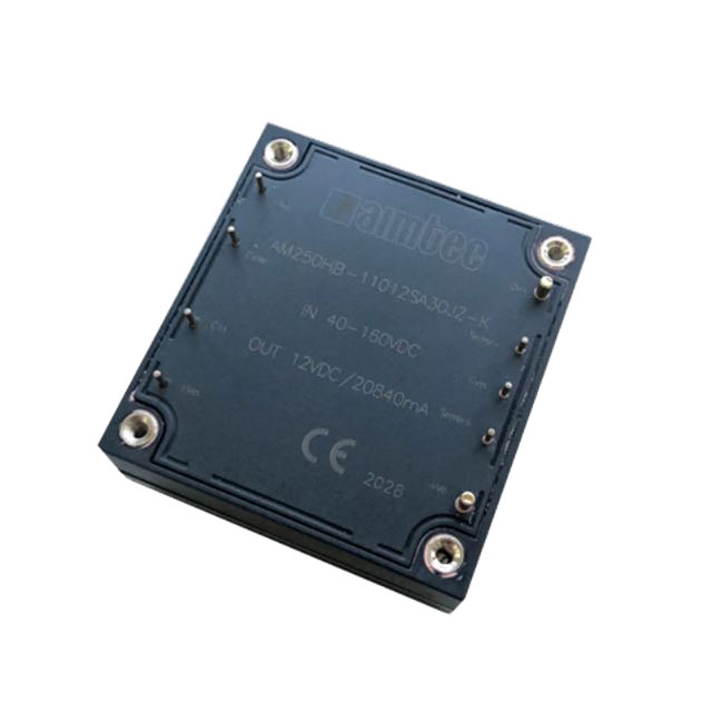 AM250HB-11005SA30JZ aimtec