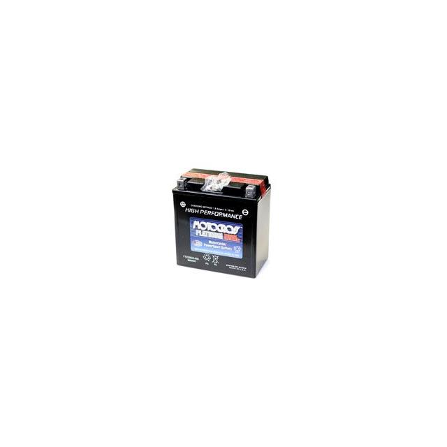 ASSAULT 800CC SNOWMOBILE   BATTERY Interlight