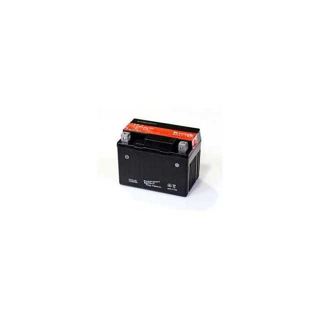 AXL 90CC ATV   BATTERY Interlight