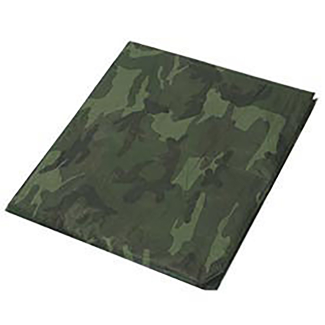 CAMO10x10 Harpster of Philipsburg