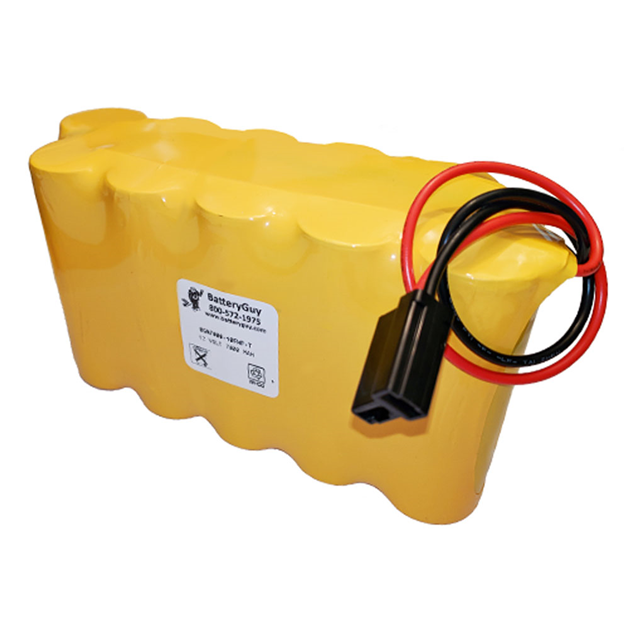 BGN7000-10FWP-T BatteryGuy