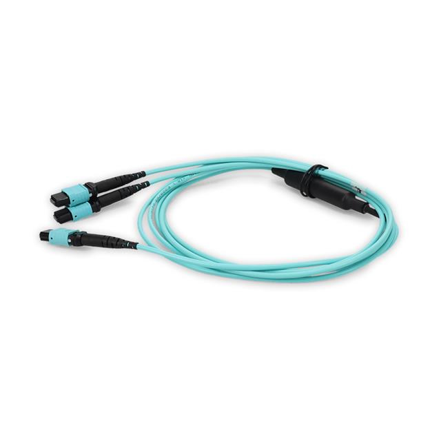 C-24FMPO-2MPO7M5OM4LZ ProLabs
