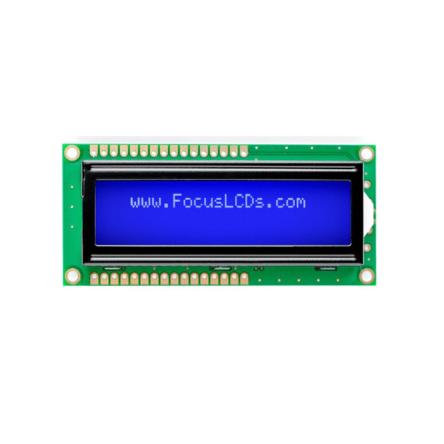 C162A-BW-LW65 Focus LCDs