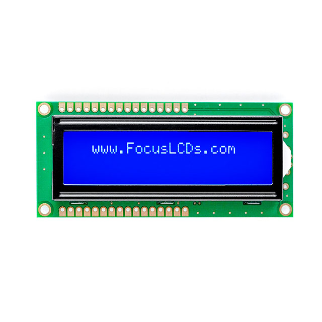 C162ALBSBSW6WN55XAA Focus LCDs