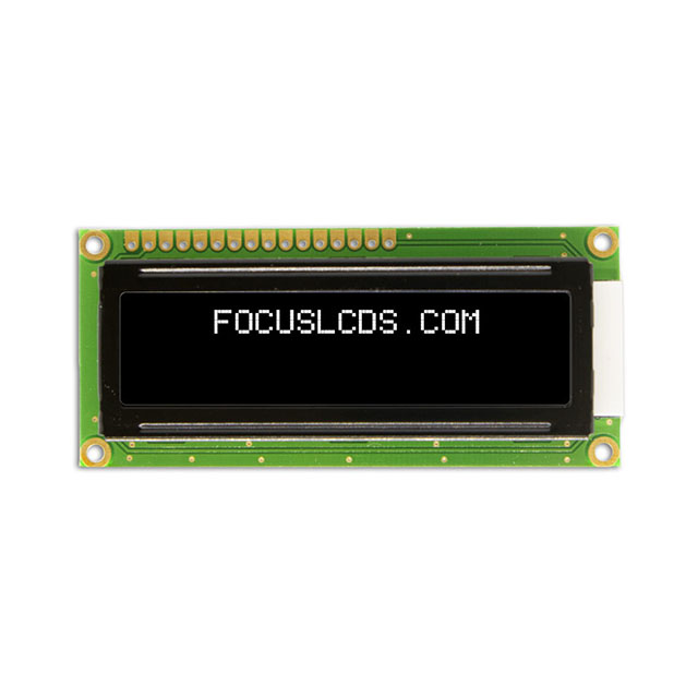 C162ALBVGSW2WN55PAB Focus LCDs