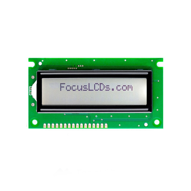 C162B-FTW-LW65 Focus LCDs