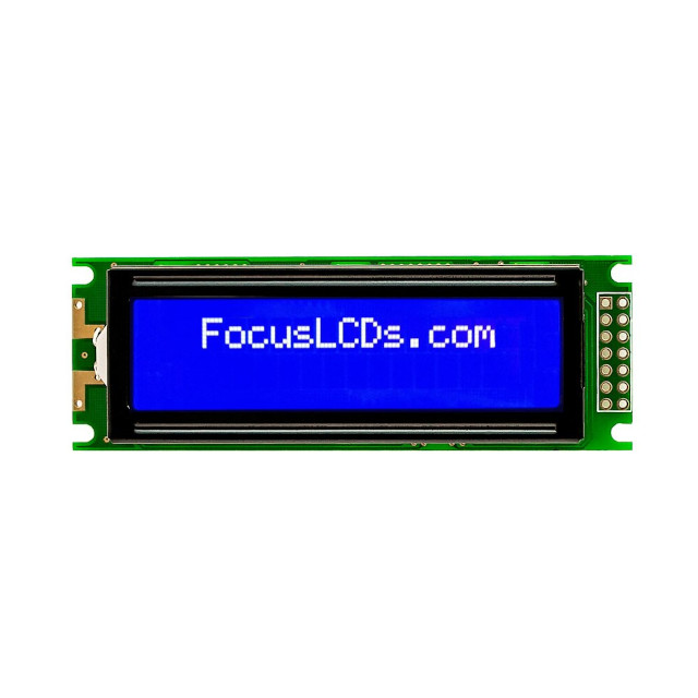 C162C-BW-LW65 Focus LCDs