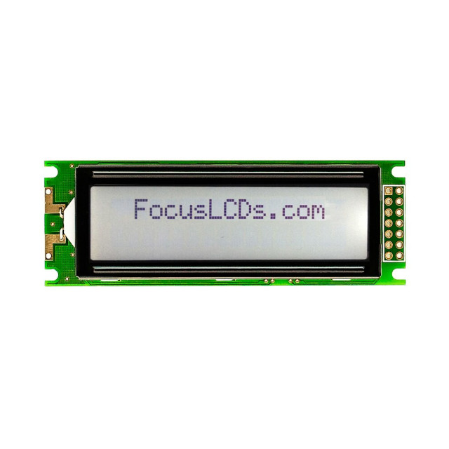 C162C-FTW-LW65 Focus LCDs