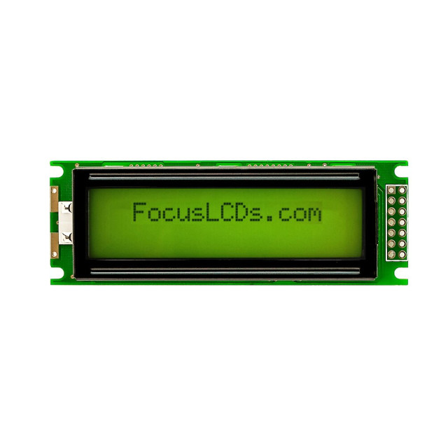 C162C-YTY-LW65 Focus LCDs