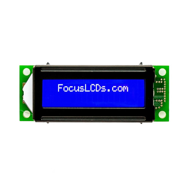 C162E-BW-LW65 Focus LCDs