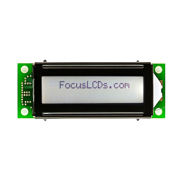 C162E-FTW-LW65 Focus LCDs