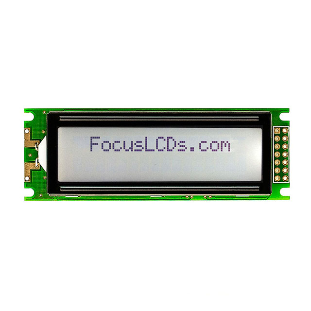 C162FLBFKSW6WT55PAB Focus LCDs