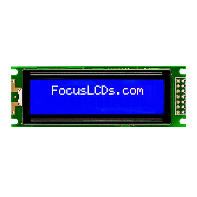 C162FLBSBSW6WN55PAB Focus LCDs