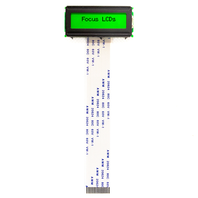 C162LDBSYLY6WT55PAA1 Focus LCDs