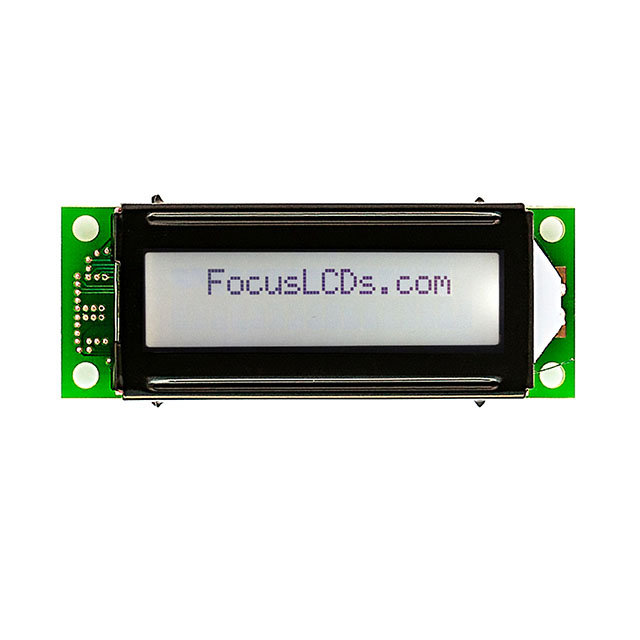 C162LLBFKSW6WT55PAB Focus LCDs