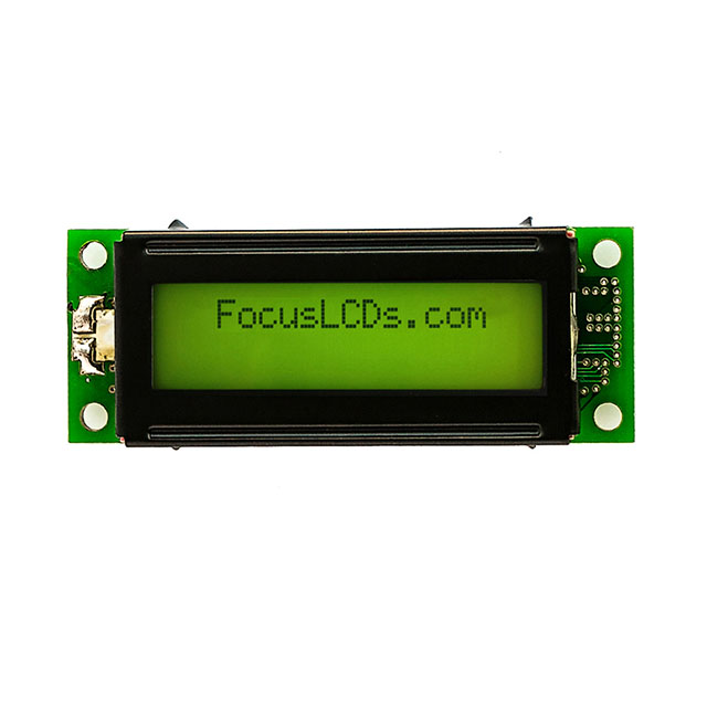 C162LLBSYSY6WT55PAB Focus LCDs