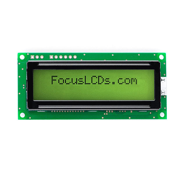 C162MLBSGLY6WT55XAA Focus LCDs