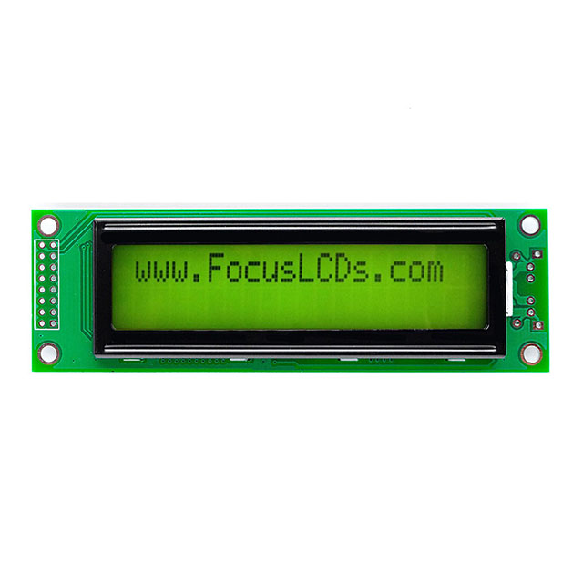 C202B-FTG-LW65 Focus LCDs