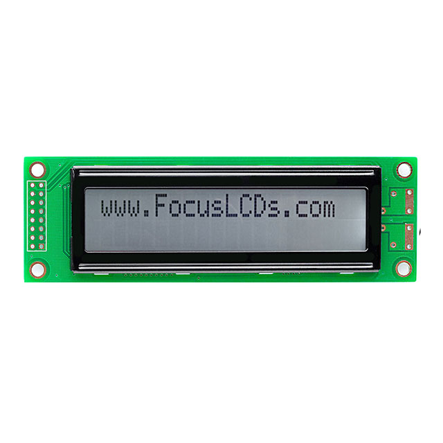 C202BXBSGN06NR3 Focus LCDs