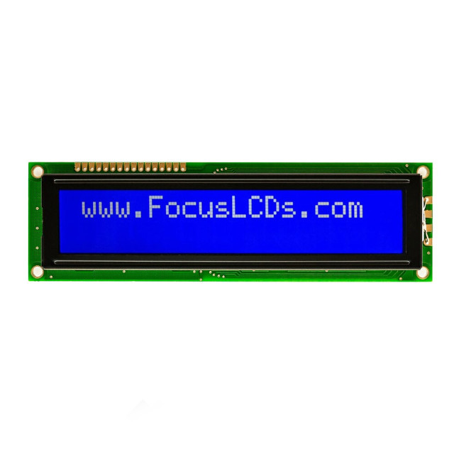 C202C-BW-LW65 Focus LCDs