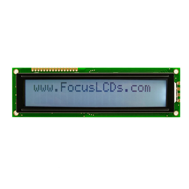 C202C-FTW-LW65 Focus LCDs