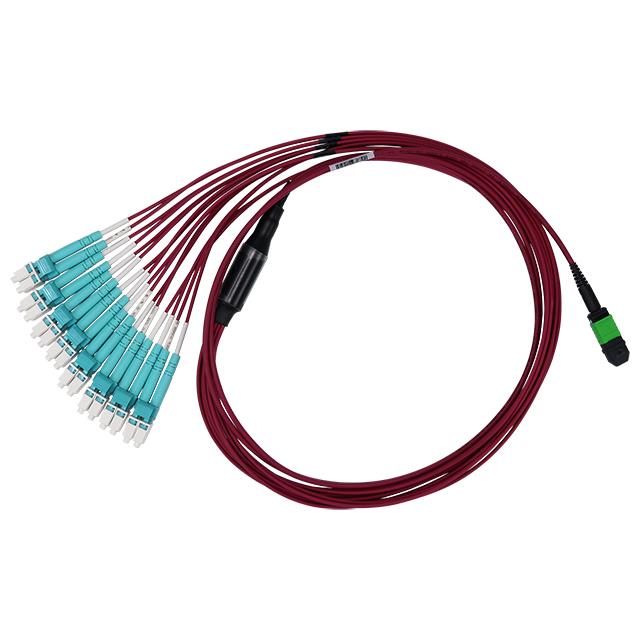 C51G-8164-10M Cabling123