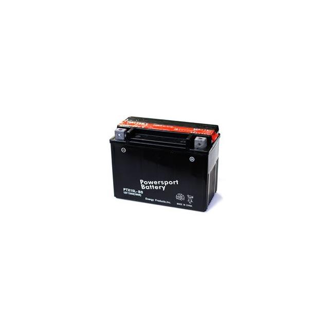 COUGAR 500CC   SNOWMOBILE   BATTERY Interlight