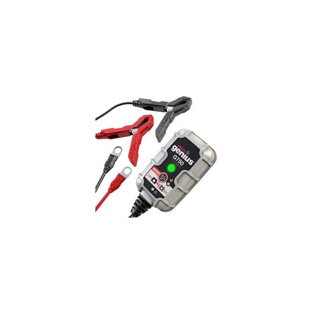 COUGAR MOUNTAIN CAT 440CC   SNOWMOBILE   CHARGER Interlight