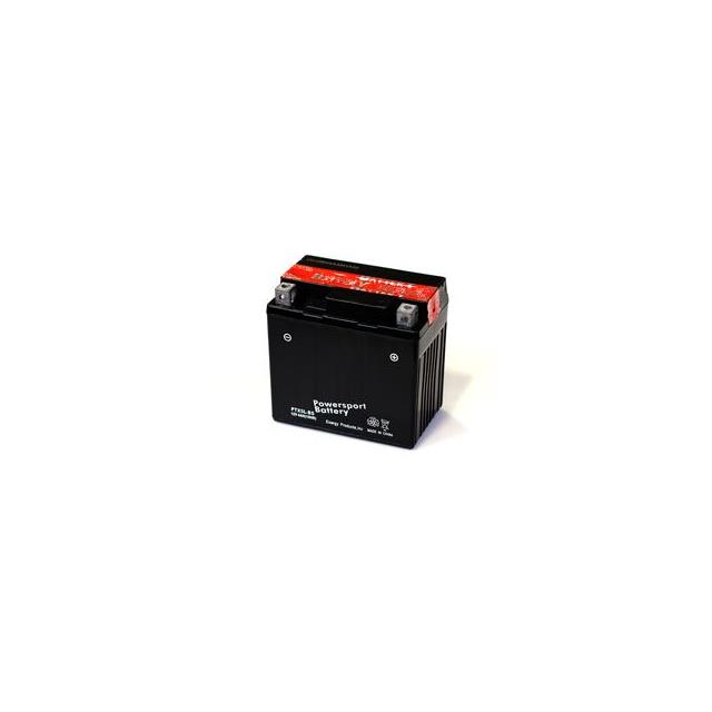 DVX50 50CC ATV   BATTERY Interlight