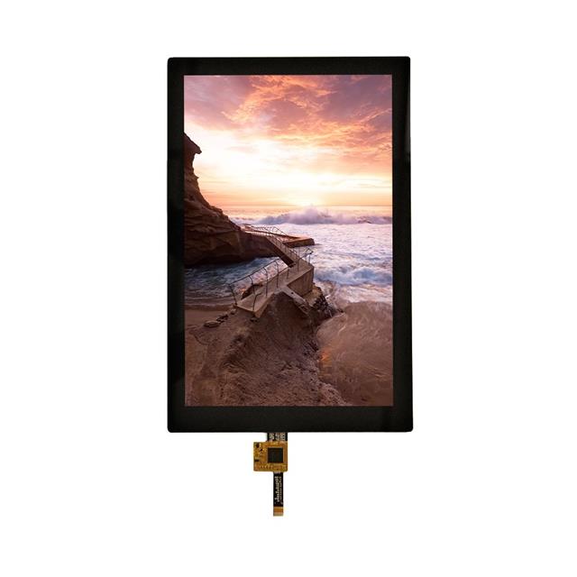 E101RA-I-MS300-C Focus LCDs