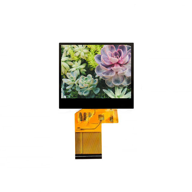 E35RG83224LW2M250-C Focus LCDs