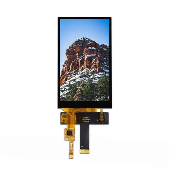 E43RB-FW405-C Focus LCDs