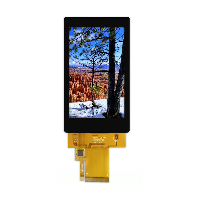 E43RG64880LWAM450-C Focus LCDs