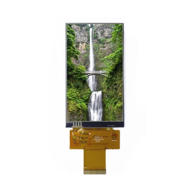 E45RA-RW245-R Focus LCDs