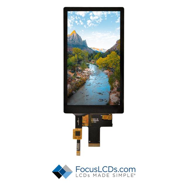 E55RB-I-MW346-C Focus LCDs