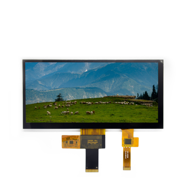 E70RA-I-MW1530-CA Focus LCDs