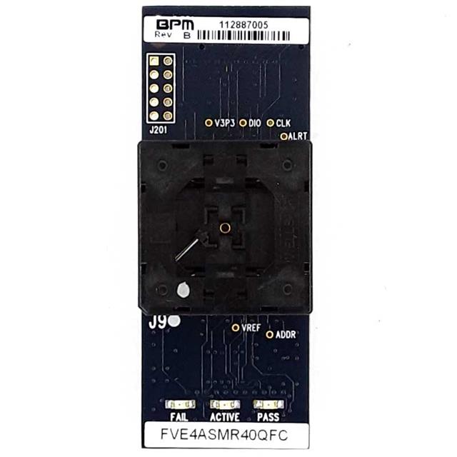 FVE4ASM100LBGB BPM Microsystems