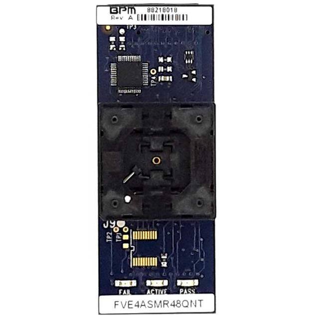 FVEG3ASMR144QFPW BPM Microsystems