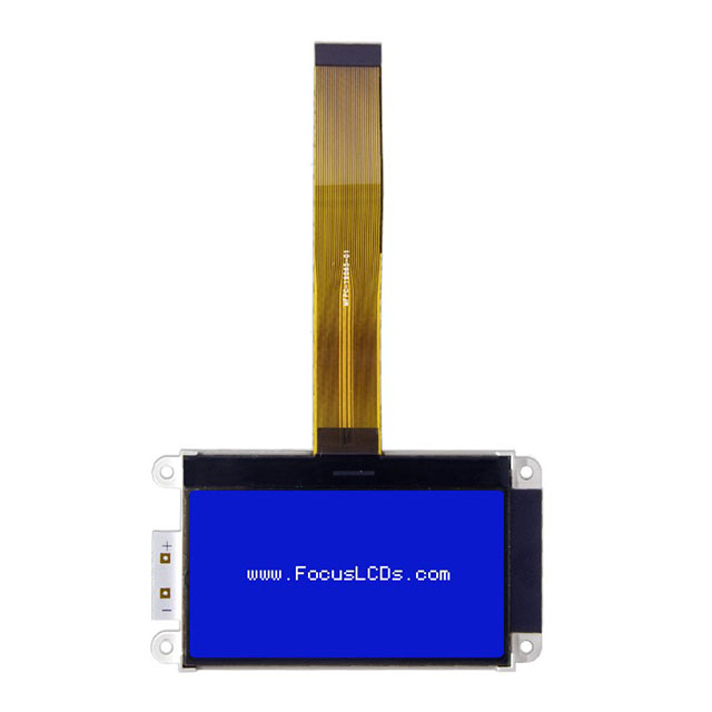 G12864B-BW-LW63 Focus LCDs