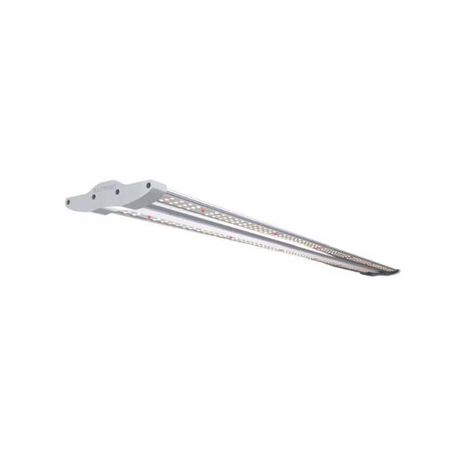 IL-4025FSG-120 Iluminar Lighting