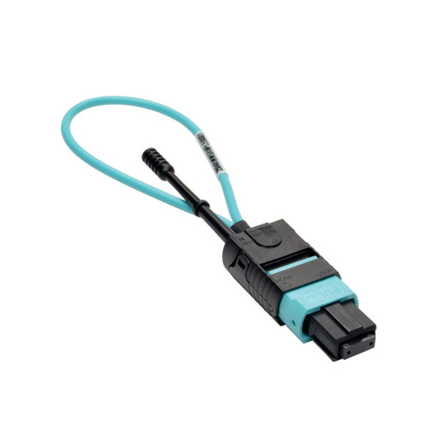 N844-LOOP-12F Tripp Lite