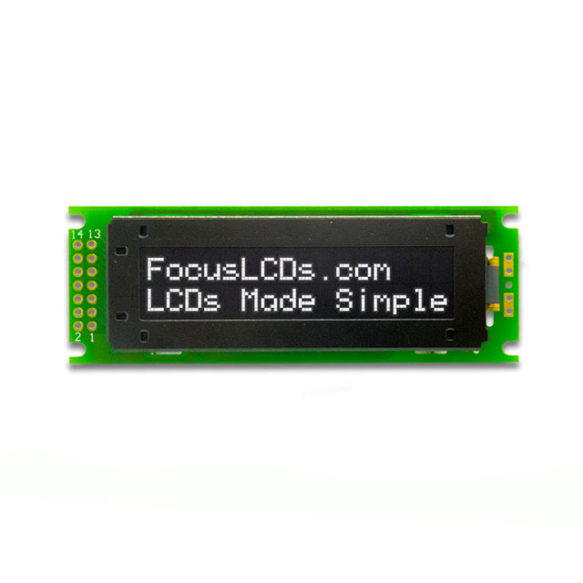 O162A-CW-SS3 Focus LCDs